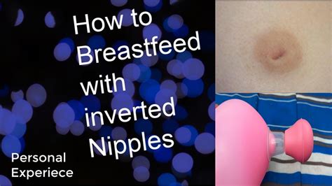 inverted nipple sex|Inverted Nipples Porn Videos